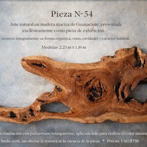 Piece No. 54 (225x110 cm)