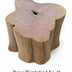 Wonderland - Banco No. 16  (46 cm Altura)